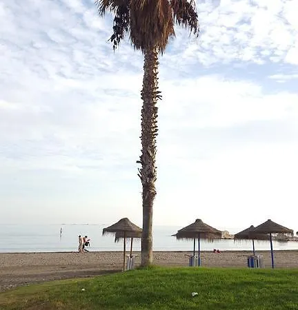 Mcavia * Malaga