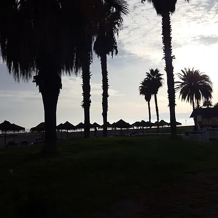 Mcavia Malaga